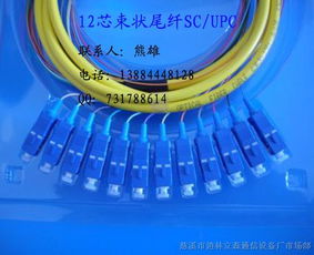 連接數字世界的橋梁 束狀尾纖、光纖跳線與皮線光纜